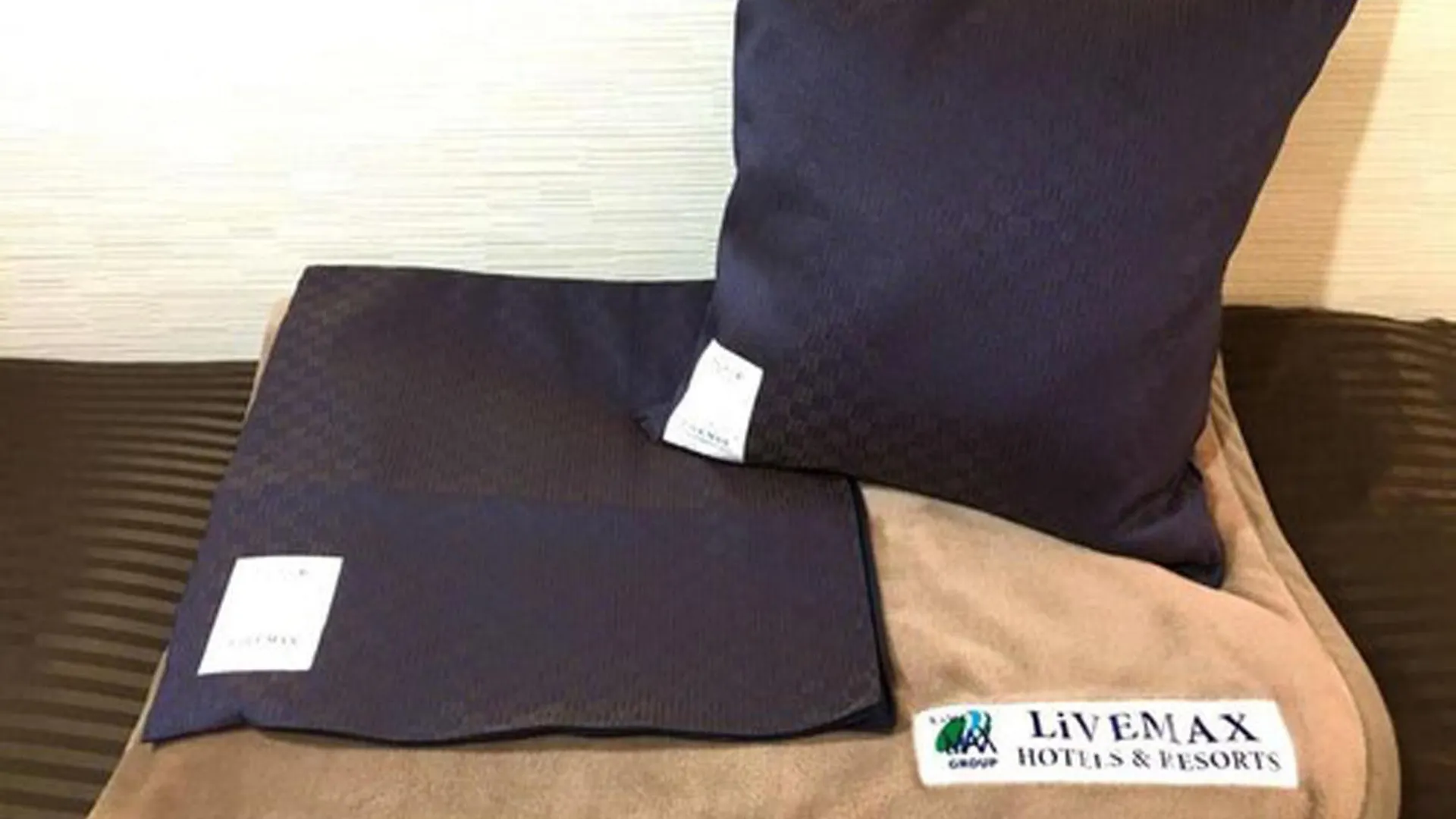 Hotel Livemax Kyoto Kamogawamae Japan